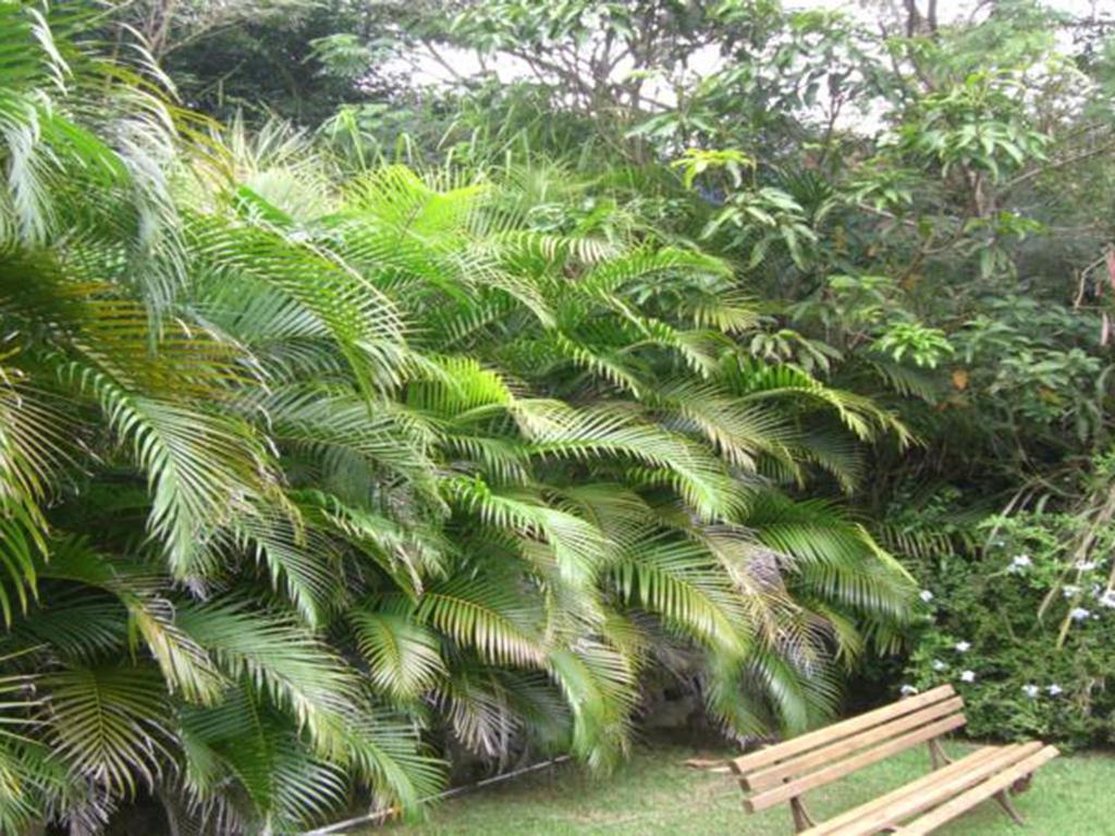 Htl Telhado Verde Búzios Esterno foto